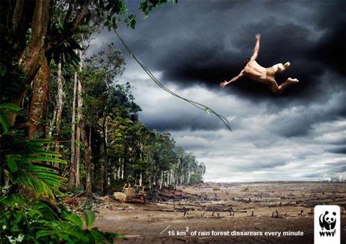wwf deforestation1 Petit BEST OF des campagnes WWF