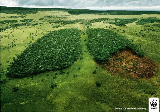wwf deforestation2 Petit BEST OF des campagnes WWF