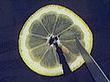 rondelle citron