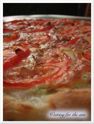 ≈ PRESQUE UNE PIZZA PESTO TOMATE MOZZARELLA ≈