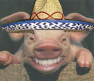 Tags : grippe A H1N1, grippe saisonnière, grippe porcine, grippe mexicaine, gouvernement, Roselyne Bachelot même pas nue, ump, pandémie, épidémie, doliprane, tamiflu, morts, décès, courabtures,malades, Nicolas Sarkozy