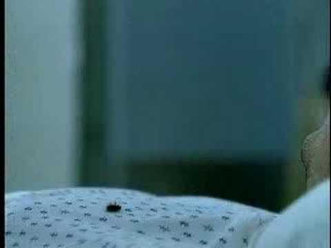 Image de prévisualisation YouTube