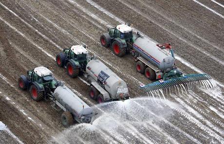 Des producteurs belges ont déversé 3 millions de lait dans un champ, à Ciney, mercredi 16 septembre.