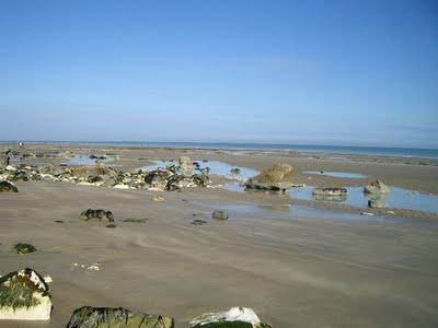 Varengeville sur mer: des paysages lunaires en Normandie