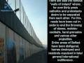 Murs de “Liberté” et Murs de la Honte!