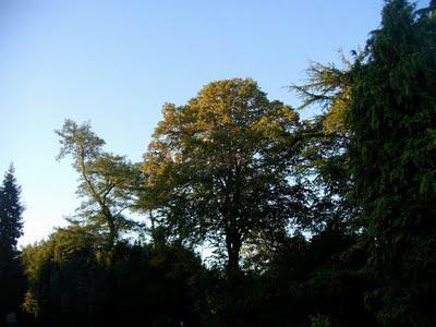 dans une autre vie...