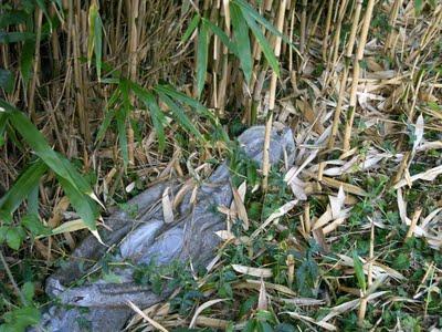 dans une autre vie...