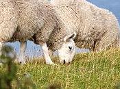 Evolution projet Petit Prince (1/2)