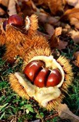 Image Hosted by ImageShack.us