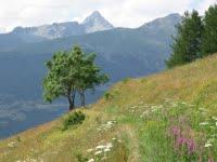 Randonnée dans les Hautes Alpes avec bâtons de Marche Nordique