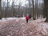 Nordic walking et son blanc manteau