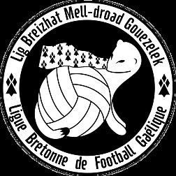 Du football gaëlique en Bretagne