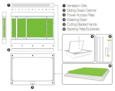 Votre Mur d'herbe par Ustatic