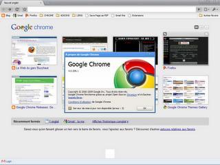 Google Chrome 4
