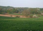 Votre parfum préféré Défi photo