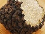 Foire Internationale truffe blanche Alba