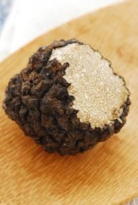 Foire Internationale de la truffe blanche à Alba