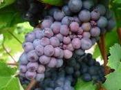 Coup soleil, coup sommeil…