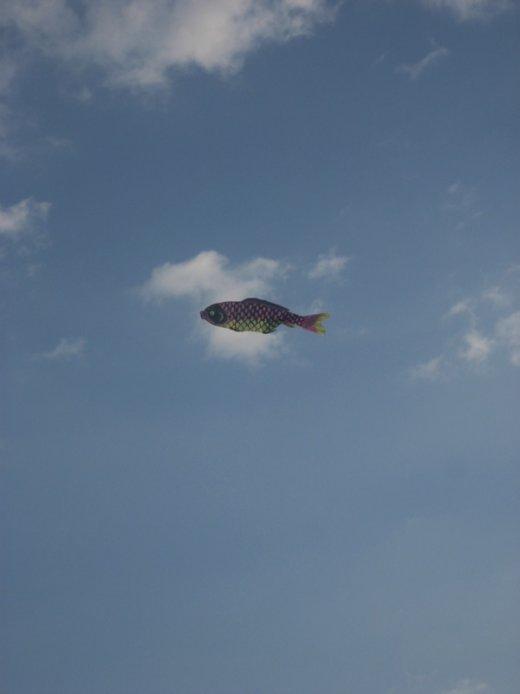 En bleu, exceptionnellement...