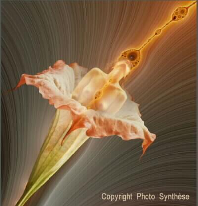 Une introduction au Tantra