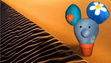 hochet_cactus_margueriteA