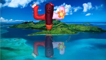 hoch_hoch_cactus_violettaAa