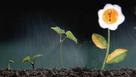 horloge_doudou_fleurAa