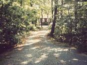 Rollip donne aspect vieillot photos