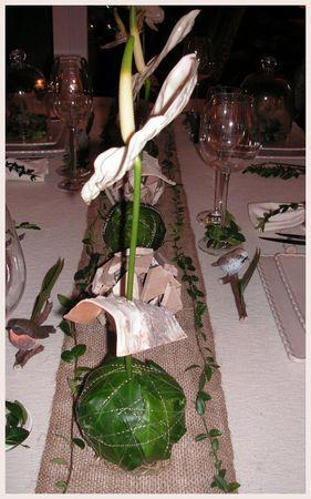 2009_09_23_table_bouleau_blanc_vert15