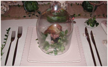 2009_09_23_table_bouleau_blanc_vert3