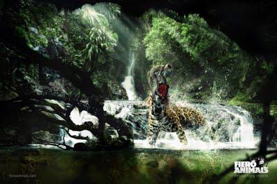 Fiero animals // Quand les studios de retouche communiquent