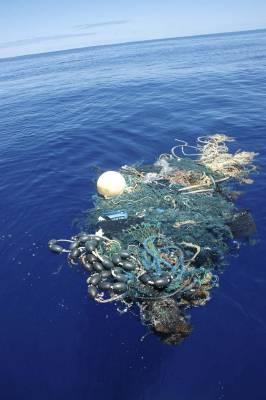 Lun des amas de débris plastiques qui peuplent les océans 