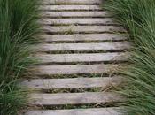 expérience positive entre autres ....