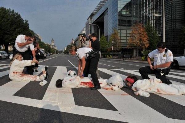 Manifestation de la PETA à Washington