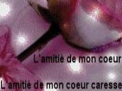 Mongolfieres St-Jean-sur-Richelieu Blog Marishka