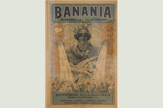 banania-255876