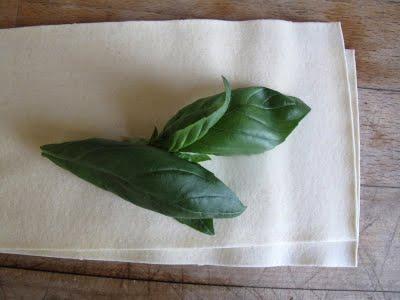 Lasagnes potimarron et basilic