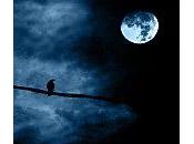 lettre Laurent Grisel, fragments