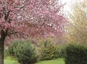 62ème sortie chemin/route