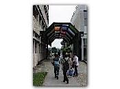 facs attirent nouveau