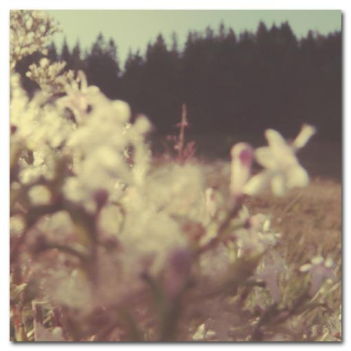 Pastel Time _103_104_105