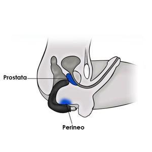 stimulation prostate