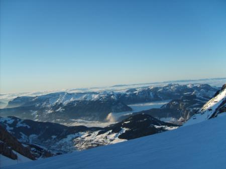 AR'Vi  Pas  les  PARISIENS
