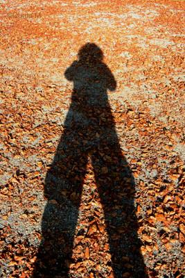 Automne 2009 à La Chaux-de-Fonds