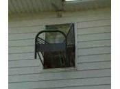 Quelques vidéos insolites (Vol 112)