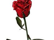 cadeau petit rien fait tout.