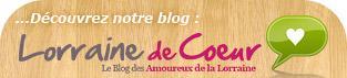 Découvrez notre blog Lorrainde de Coeur - Le Blog des Amoureux de la Lorraine