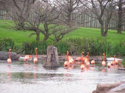 Voyager en Argentine: Temaiken, parc - thématique