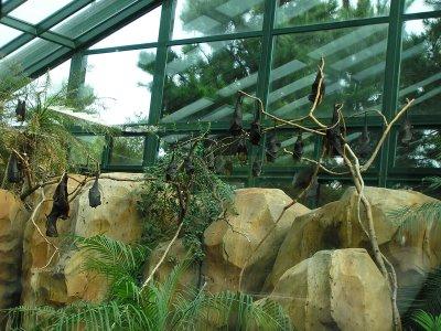 Voyager en Argentine: Temaiken, parc - thématique