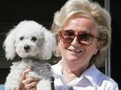 Dans l'actu buzzs chien Chiracs